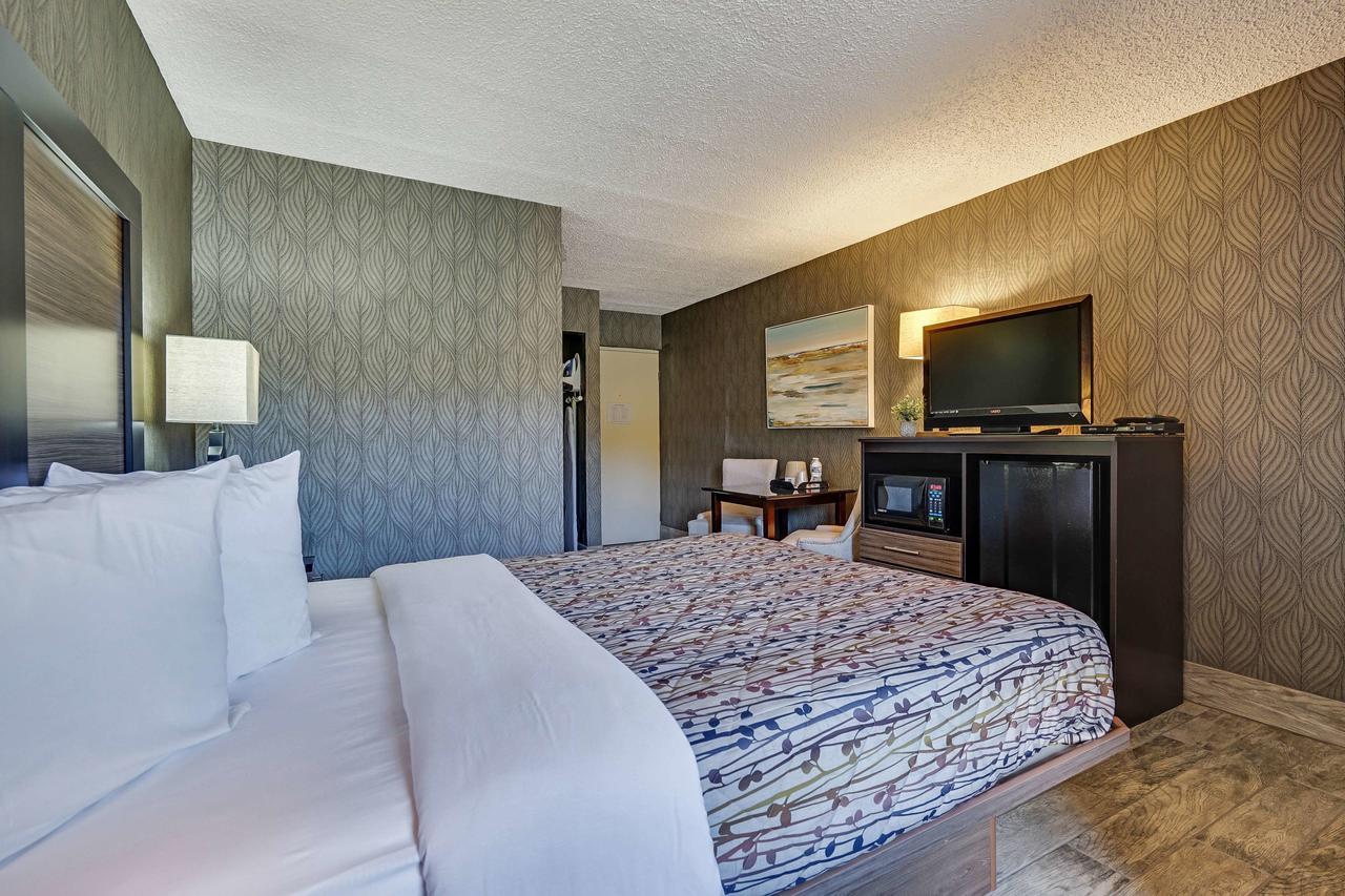 Blue Creek Inn Waretown Eksteriør billede